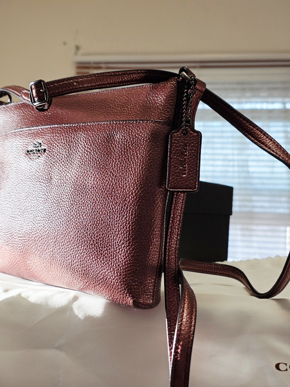 COACH Metallic Journal Crossbody In QB/Metallic Cherry - Picture 5 of 8